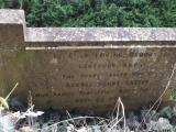 image of grave number 285747